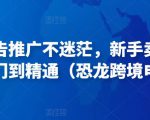亚马逊广告推广不迷茫，新手卖家产品运营入门到精通（恐龙跨境电商）-副业资源站
