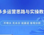 拼多多店铺运营思路与实操教程,快速学会拼多多开店和运营,少踩坑,多盈利-副业资源站