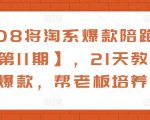 108将淘系爆款陪跑营【第11期】，21天教运营打爆款，帮老板培养运营-副业资源站