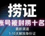 2023年最新抖音八大技术，一证多实名，秒注销，断抖破投流，永久捞证，钱包注销，跳人脸识别，蓝V多实-副业资源站