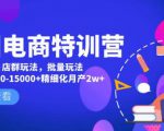美团电商特训营:美团·店群玩法,无脑铺货月产出6000-15000+精细化月产2w+-副业资源站