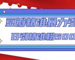 豆瓣精准暴力引流，日引精准粉500+【12课时】-副业资源站