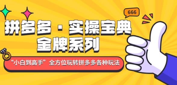 拼多多·实操宝典：金牌系列“小白到高手”带你全方位玩转拼多多各种玩法-副业资源站