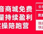 抖音商城搜索持续盈利陪跑成长营，抖音商城搜索从0-1、从1到10的全面解决方案-副业资源站