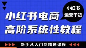 小红书电商高阶系统教程，新手从入门到精通系统课-副业资源站