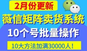 微信矩阵卖货系统,多线程批量养10个微信号,10种加粉落地方法,快速加满3W人卖货!-副业资源站