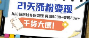 21天精准涨粉变现干货大课:从10位粉丝开始变现月增5000+变现20w+-副业资源站