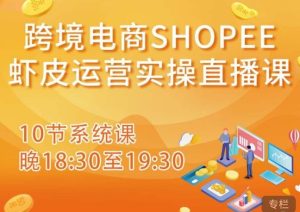 跨境电商Shopee虾皮运营实操直播课，从零开始学，入门到精通（10节系统课）-副业资源站