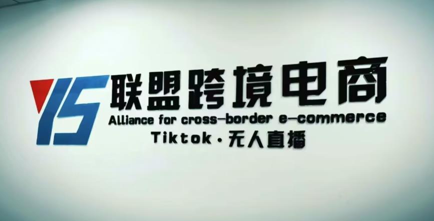 YS联盟·Tiktok无人直播，不出镜不剪辑不拍摄不发货无售后的跨境短视频躺赚玩法-副业资源站