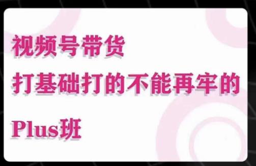 大播汇·视频号带货Puls班，视频号底层逻辑，起号自然流鱼塘等玩法-副业资源站