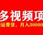 多多带货视频快速50爆款拿带货资格，搬运带货，月入30000【全套脚本+详细玩法】-副业资源站