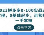 2023拼多多0-100实战运营教程,0基础起步,运营知识一手掌握-副业资源站