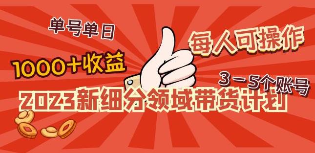 2023新细分领域带货计划：单号单日1000+收益不难，每人可操作3-5个账号-副业资源站