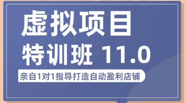 陆明明·虚拟项目特训班（10.0+11.0），0成本获取虚拟素材，0基础打造自动盈利店铺-副业资源站