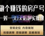 刘广标·同城房产号线上陪跑课，拍摄、剪辑、写文案、直播，做一个具有潜力价值的房产号-副业资源站