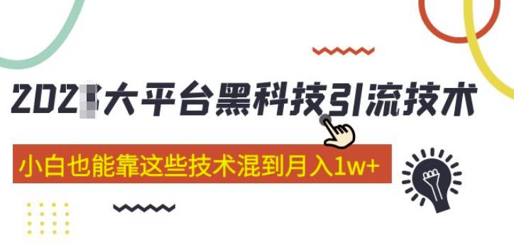 大平台黑科技引流技术，小白也能靠这些技术混到月入1w+(2022年的课程）-副业资源站