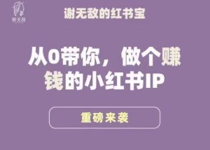 谢无敌·小红书运营大宝典,从0带你做个赚钱的小红书IP-副业资源站