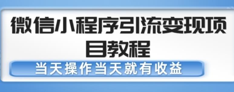 微信小程序引流变现项目教程，当天操作当天就有收益，变现不再是难事-副业资源站