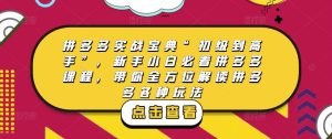 拼多多实战宝典“初级到高手”，新手小白必看拼多多课程，带你全方位解读拼多多各种玩法-副业资源站