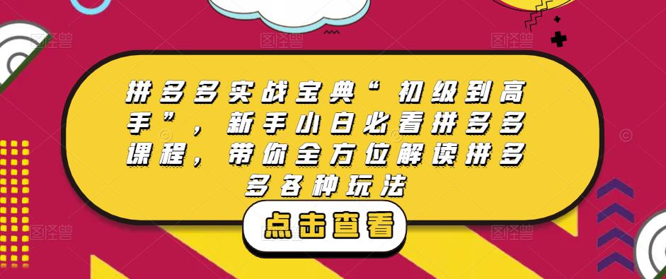 拼多多实战宝典“初级到高手”，新手小白必看拼多多课程，带你全方位解读拼多多各种玩法-副业资源站