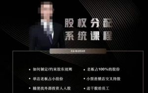 韩老师聊美业-美业股权分配系统课程,如何制定约束股东规则+老板占100%的股份+单店老板占小股份等-副业资源站