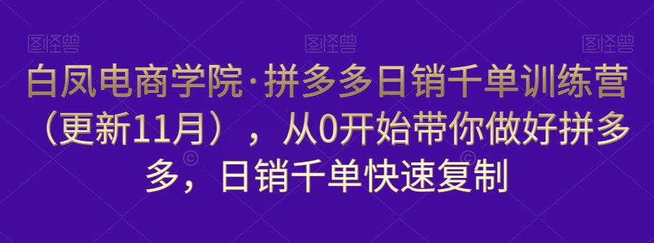 白凤电商学院·拼多多日销千单训练营，从0开始带你做好拼多多，日销千单快速复制（更新知2023年3月）-副业资源站