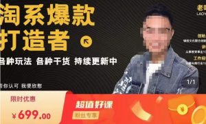 锋投老叶全店动销,淘系干货汇总,各种玩法,淘系爆款打造者-副业资源站