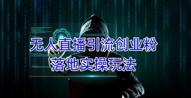 外面收费3980的无人直播引流创业粉落地实操玩法，单日引100+精准创业粉-副业资源站