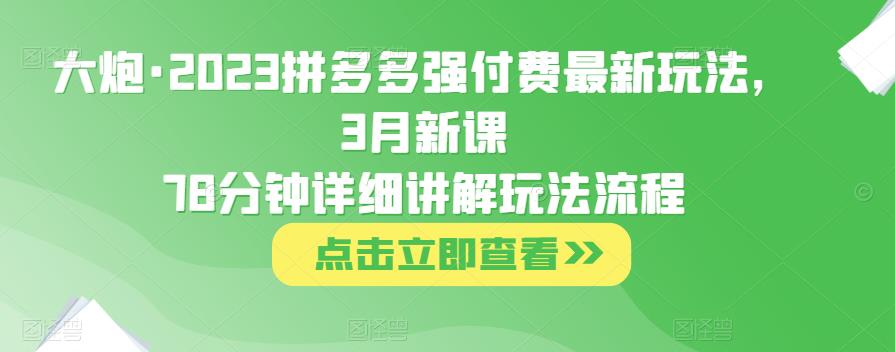 大炮·2023拼多多强付费最新玩法，3月新课​78分钟详细讲解玩法流程-副业资源站