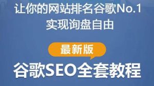 谷歌SEO实战教程:如何让你的网站在谷歌排名第一,内容从入门到高阶,适合个人及团队-副业资源站