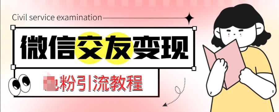 微信交友变现项目，吸引全网LSP男粉精准变现，小白也能轻松上手，日入500+-副业资源站