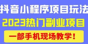 抖音小程序9.0新技巧，2023热门副业项目，动动手指轻松变现-副业资源站