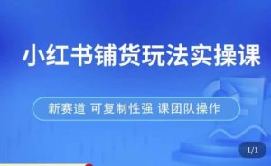 小红书铺货玩法实操课，流量大，竞争小，非常好做，新赛道，可复制性强，可团队操作-副业资源站
