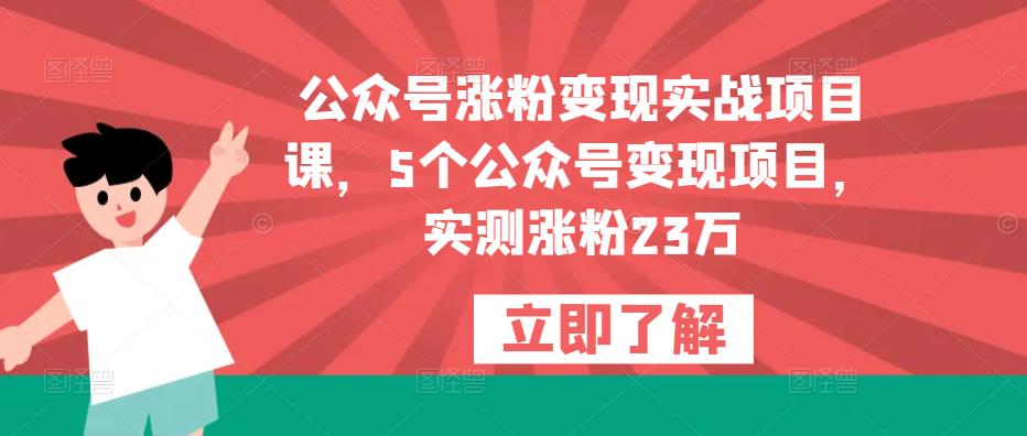 公众号涨粉变现实战项目课，5个公众号变现项目，实测涨粉23万-副业资源站