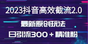 日引300＋创业粉，独家抖音高效截流2.0玩法（价值1280）-副业资源站