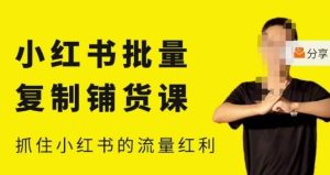 张宾·小红书批量复制铺货课,小红书0-1快速起号变现玩法,抓住小红书的流量红利(更新2023年3月)-副业资源站