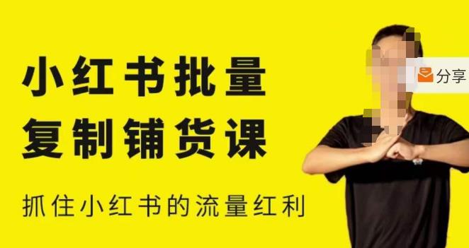 张宾·小红书批量复制铺货课,小红书0-1快速起号变现玩法,抓住小红书的流量红利(更新2023年3月)-副业资源站