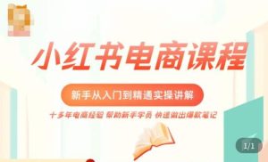 小红书电商新手入门到精通实操课,从入门到精通做爆款笔记,开店运营-副业资源站