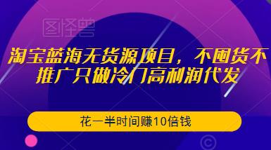 淘宝蓝海无货源项目，不囤货不推广只做冷门高利润代发，花一半时间赚10倍钱-副业资源站