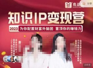 鹿盈盈-知识IP变现实操营，​普通人可复制的知识产品落地实操课，​带你打通知识IP变现底层逻辑-副业资源站
