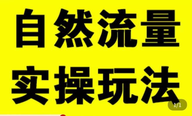 拼多多自然流量天花板，拼多多自然流的实操玩法，自然流量是怎么来的，如何开车带来自然流等知识-副业资源站