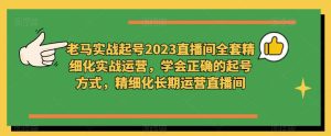 老马实战起号2023直播间全套精细化实战运营,学会正确的起号方式,精细化长期运营直播间-副业资源站