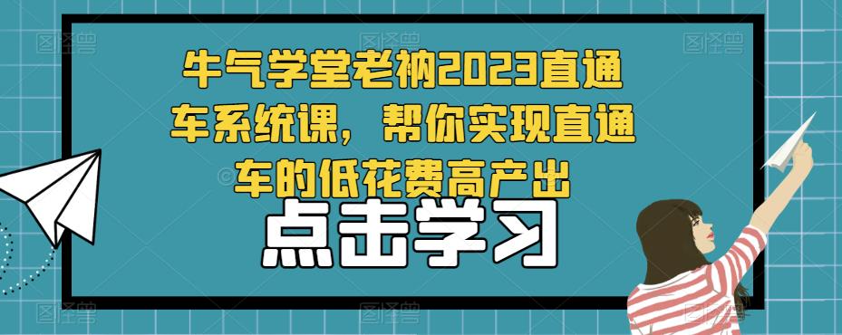 牛气学堂老衲2023直通车系统课，帮你实现直通车的低花费高产出-副业资源站