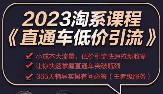 2023直通车低价引流玩法课程，小成本大流量，低价引流快速拉新收割，让你快速掌握直通车突破瓶颈-副业资源站