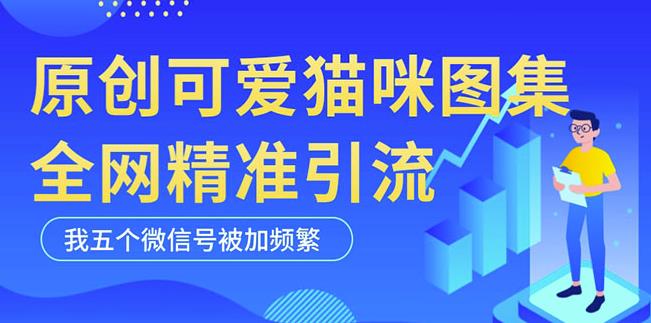 黑科技纯原创可爱猫咪图片，全网精准引流，实操5个VX号被加频繁-副业资源站