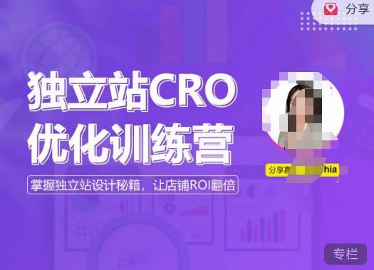 独立站CRO优化训练营，掌握独立站设计秘籍，打造高转化的独立站，让店铺ROI翻倍-副业资源站