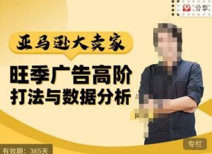 阿甘·亚马逊大卖家广告高阶打法与数据分析,走出传统广告误区;揭秘大卖惯用打法;数据驱动广告决策-副业资源站