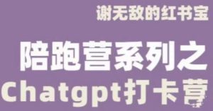 谢无敌ChatGPT打卡营，教你更好地使用ChatGPT来提高工作效率-副业资源站