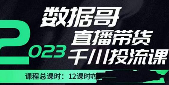 数据哥2023直播电商巨量千川付费投流实操课，快速掌握直播带货运营投放策略-副业资源站