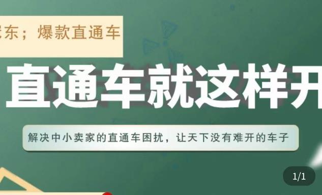 冠东·淘系直通车保姆级教程，全面讲解直通车就那么简单-副业资源站